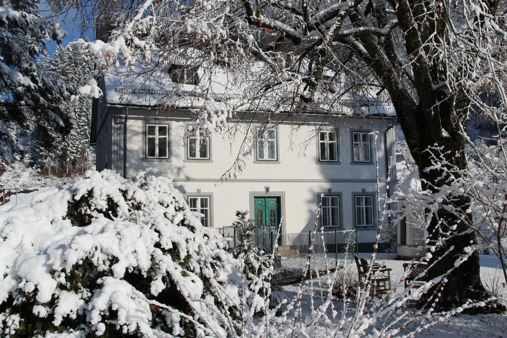 Apartment Ferienwohntraum Haller